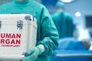 В Израиле за несколько месяцев увеличилось число желающих стать донорами органов  в два раза