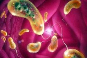 В Николаеве закрыли пляжи из-за возбудителя холеры