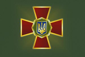 В зоне АТО военнослужащие задержали преступника, который находился в розыске