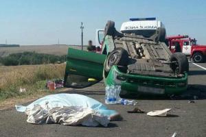 Страшное ДТП произошло в Донецкой области: два пенсионера погибли, еще два человека травмированы