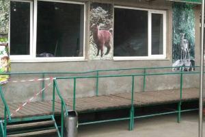 На Харьковщине обезьяны напали на сотрудника зоопарка: мужчина остался без уха и пальцев