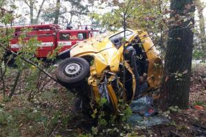 В Житомирской области произошло ДТП с участием грузового автомобиля