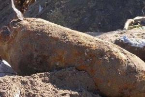 Во Франкфурте идет эвакуация людей для обезвреживания авиационной бомбы