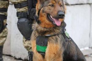 Госпогранслужба: Ситуация на КПВВ в Донбассе