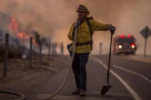В лесах Калифорнии заживо сгорели 17 человек: Трамп отреагировал на ситуацию