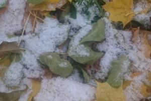 Харьковщину засыпало первым снегом: опубликованы снимки