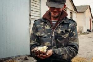 Масштабный пожар на птицефабрике в Тернопольской области: погибли около 30 тысяч единиц птицы