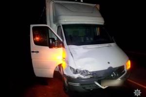Под колесами грузовика в Запорожской области погибла женщина