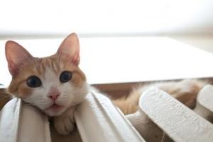 В Украине начинается отопительный сезон