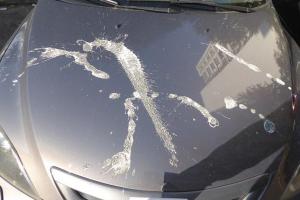 В Киеве облили кислотой десятки автомобилей: опубликованы фото