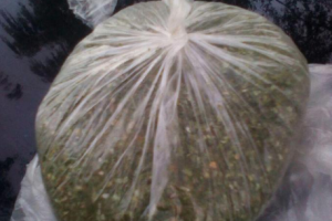 В Сумах задержали мужчину с наркотиками