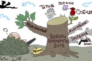 В сети появилась новая карикатура на выборы в России