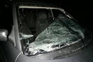 На Харьковщине водитель сбил четверых пешеходов