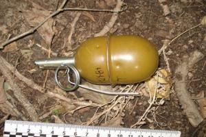 Ночные "развлечения" в Киеве: из автомобиля на улицу выбросили гранату