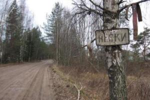 Боевики обстреляли жилой сектор в Песках