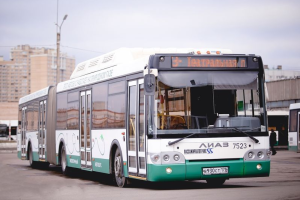 В России пьяная школьница молотком пробила череп кондуктору автобуса