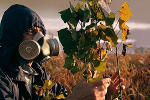 Донбассу грозит химическая катастрофа: в ООН сделали шокирующее заявление 