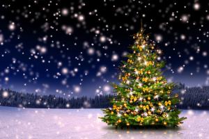 Главную елку страны украсят 3,6 км гирлянд