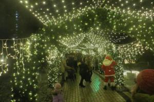 Из-за митингов Саакашвили Киев лишился новогодней локации