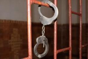 Стали известны подробности о Елене Добродий, подозреваемой в убийстве собственной дочери