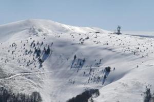 В Закарпатской области в горах сошла лавина