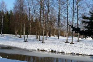 Синоптики рассказали, какая погода ожидает украинцев в понедельник