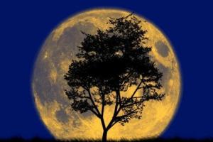 Жители Земли 1 января увидят Суперлуние