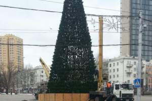 В центре оккупированного Донецка устанавливают новогоднюю елку