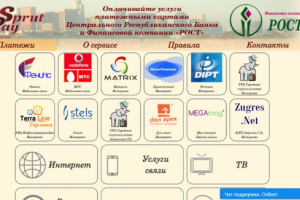 "Спрут" вонзает щупальца: В "ДНР" запустили свою платежную систему
