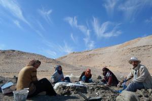 В Египте ученые нашли останки динозавра