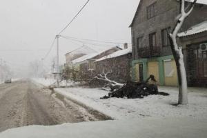 Одесскую область накрыла снежная стихия: Измаил остался без света и воды