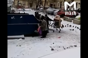 Пенсионеры налетели на просрочку в мусорном баке: обнародовано очередное позорное видео из России