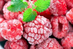 Технологии шоковой заморозки продуктов питания
