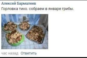 Аномальная зима: жители ОРДЛО собирают в лесу грибы, зафиксированы массовые отравления 