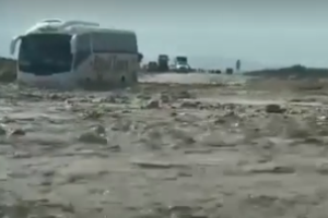 В Израиле были спасены 50 украинских туристов