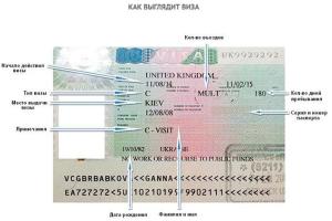 На работу в Великобританию: как получить визу украинцам?