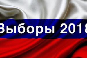 Российская правозащитница о выборах в РФ: Такой массовой фальсификации я не видела никогда