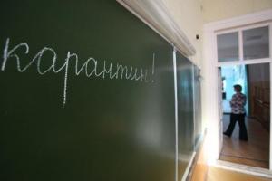 Грипп или нехватка газа? Школы Лисичанска закрываются на каникулы
