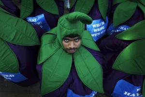 Итальянец девять лет судился из-за баклажана