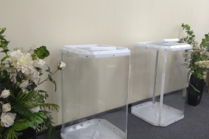 Выборы президента РФ: В Туле не запломбированы урны и отсутствуют печати