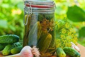 Лучшие сорта огурцов для засолки и консервирования