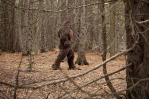 В России сняли на видео снежного человека: кадры впечатляют