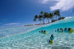 Мальчик стащил у матери кредитку и вместо школы улетел на Бали