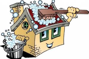 Ученые назвали опасность от чистоты в доме