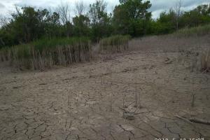 Экологическая катастрофа: журналист показал первые последствия остановки насосов на шахте "Юнком" под Енакиево 