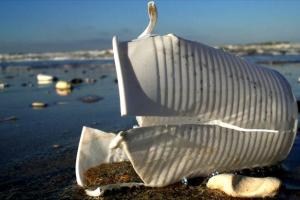 В ЕС могут запретить одноразовую посуду из пластика