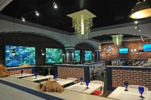 Рыбный ресторан Marlin в Киеве - изысканная кухня и уникальный интерьер