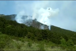 В Крыму горит заповедник: опубликовано видео