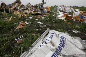 В Нидерландах вынесли вердикт относительно причастности Украины к крушению MH17 в Донецкой области