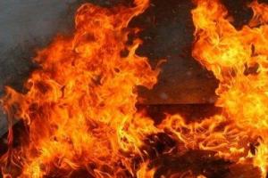 Пожар в Запорожской области: погибло два человека
